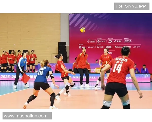 上海排球队比赛经验的创新与变革引发热议