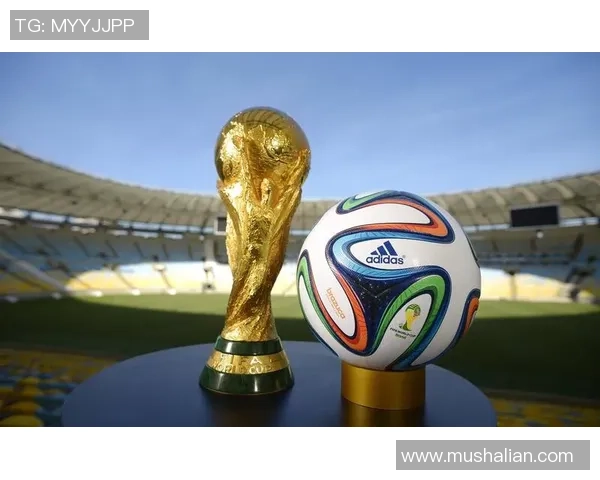 上海篮球队杯赛表现分析展现实力与团队协作的完美结合